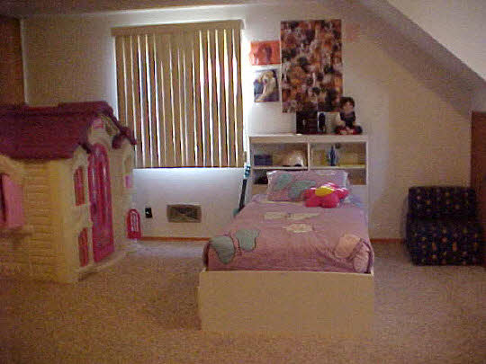 310 West Brayton Road Mount Morris, IL 61054 - Photo 6 of 6 Gallery Image 6
