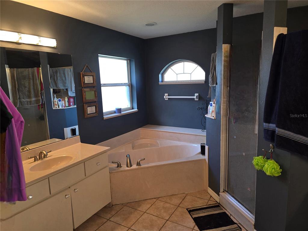 5904 Southwest 107th Street Ocala, FL 34476 - Photo 25 of 33 a bathroom with a sink and mirror