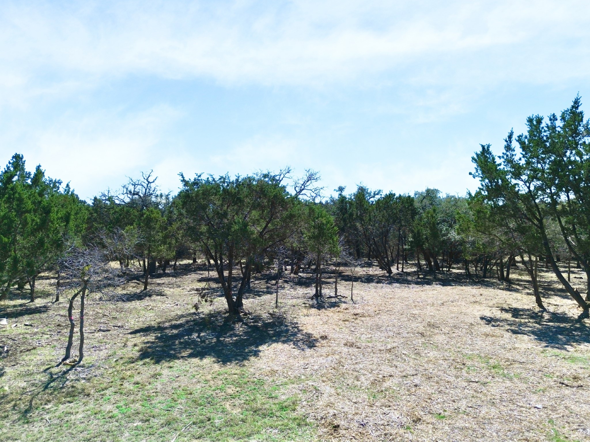 120 Blessing Ranch Road Liberty Hill, TX 78642 - Photo 11 of 11 View of undeveloped land with rural landscape