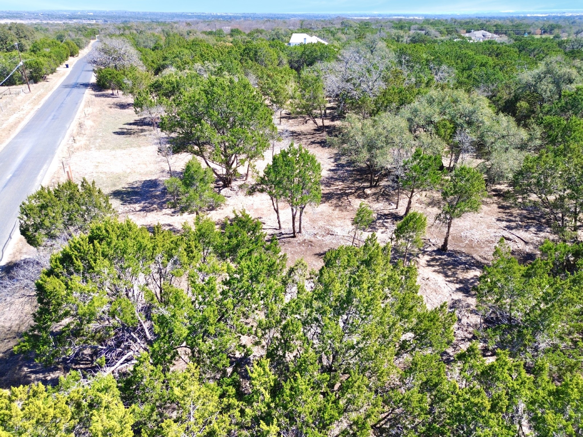 120 Blessing Ranch Road Liberty Hill, TX 78642 - Photo 3 of 11 Bird's eye view