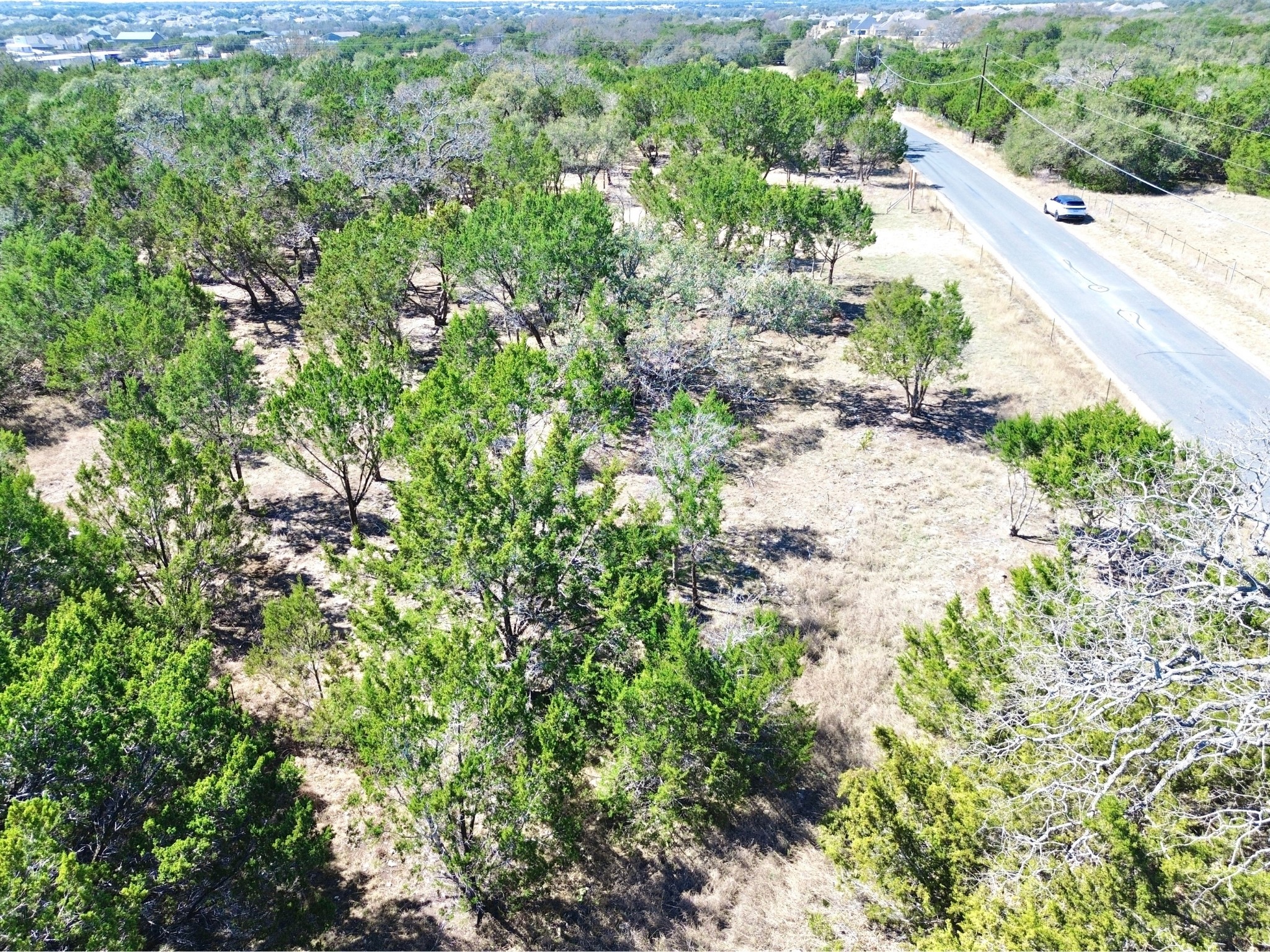 120 Blessing Ranch Road Liberty Hill, TX 78642 - Photo 4 of 11 Bird's eye view