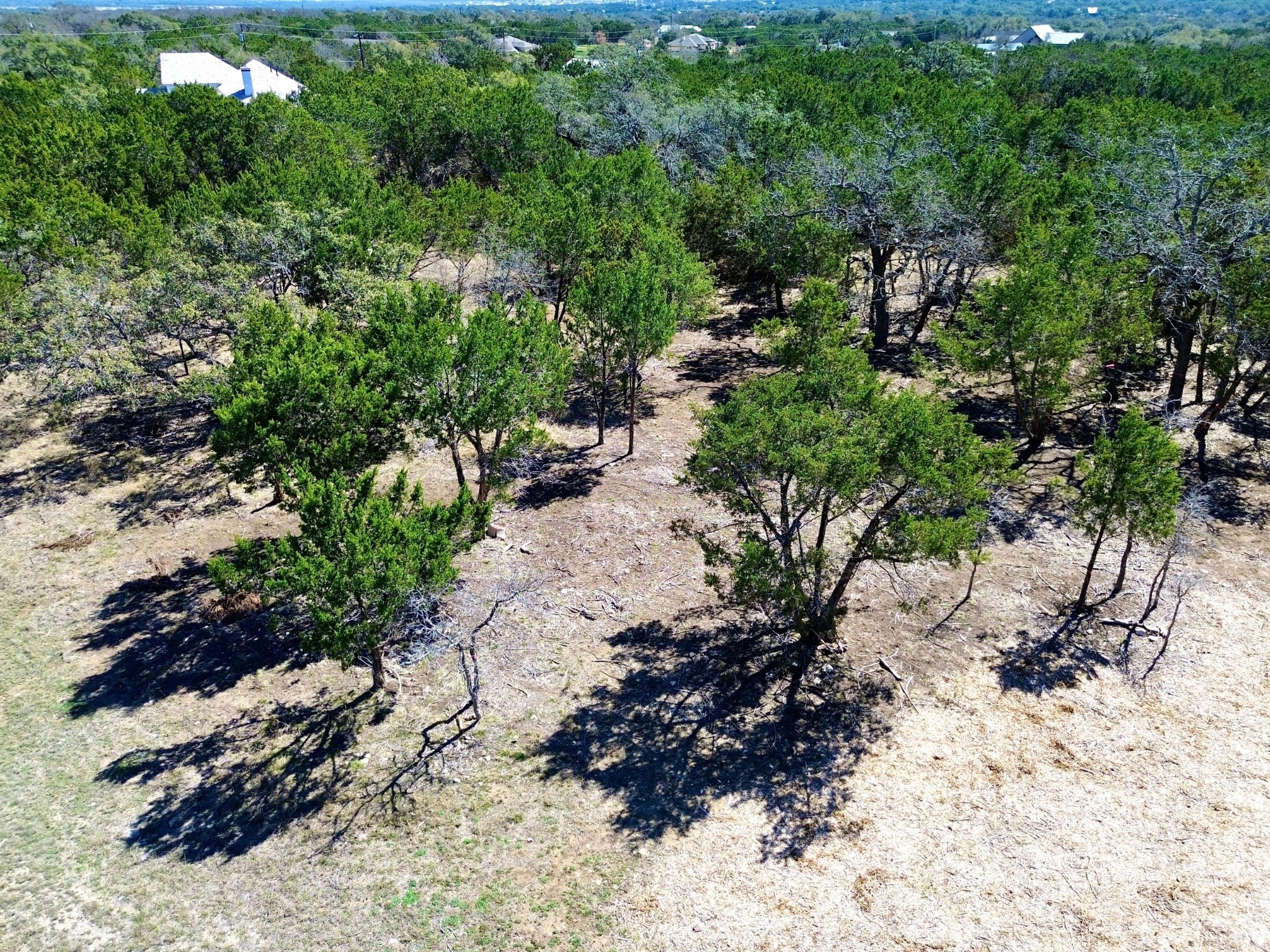 120 Blessing Ranch Road Liberty Hill, TX 78642 - Photo 7 of 11 View of undeveloped land