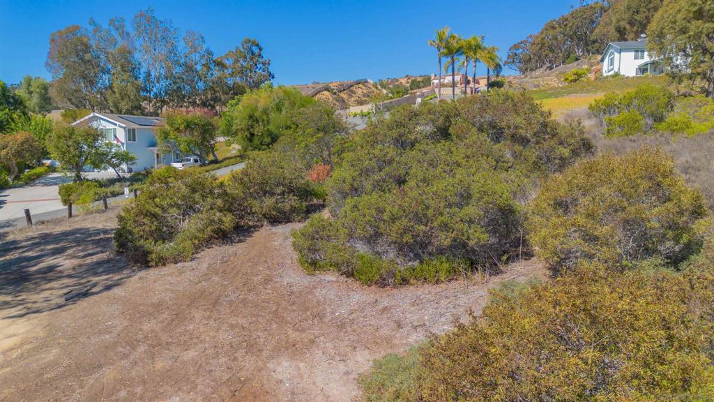 3703 Manchester Avenue Encinitas, CA 92024 - Photo 15 of 23 a view of a yard along with trees