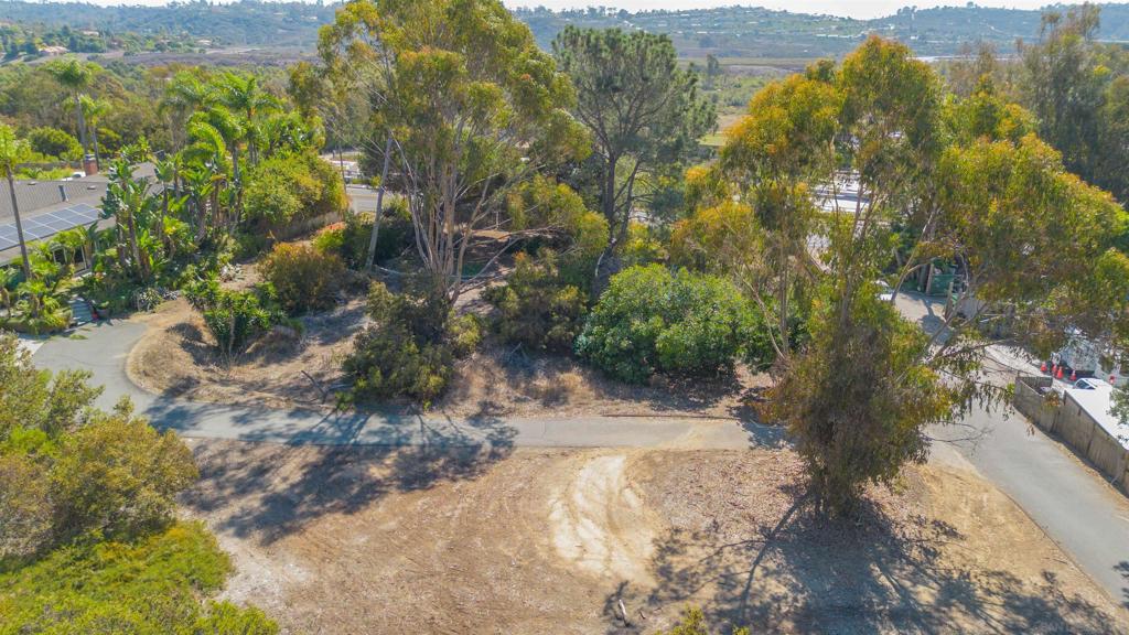 3703 Manchester Avenue Encinitas, CA 92024 - Photo 16 of 23 a view of a yard with a tree