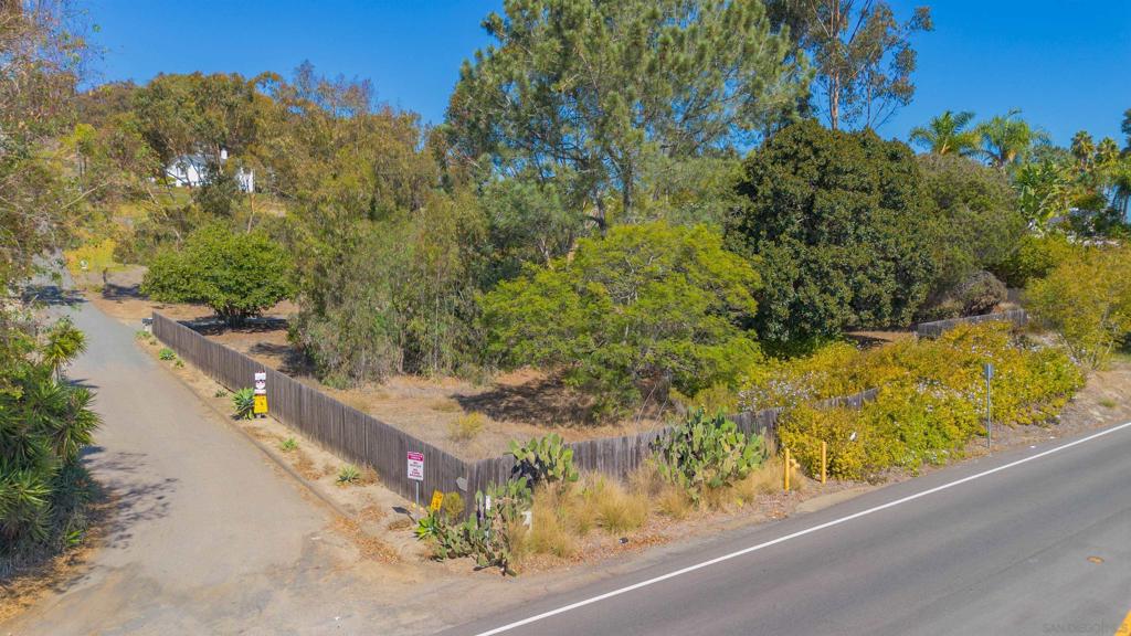 3703 Manchester Avenue Encinitas, CA 92024 - Photo 8 of 23 a view of a yard with plants