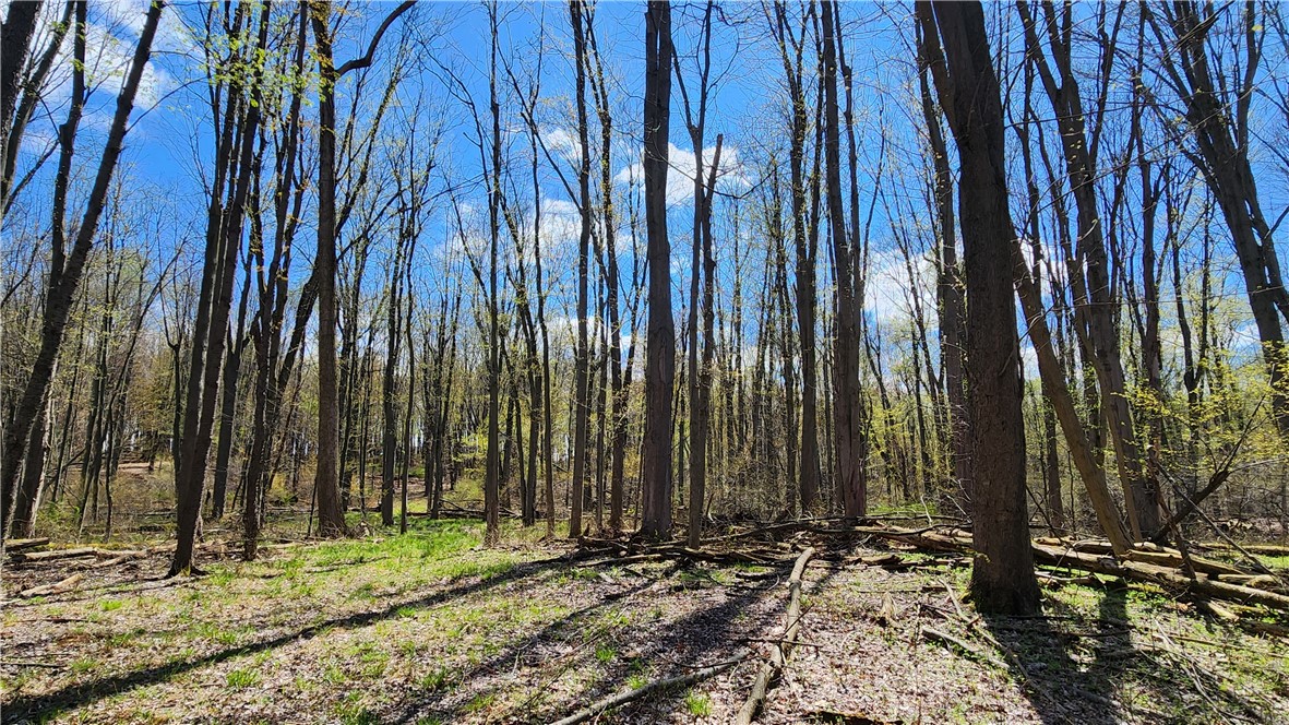 Straub Road Greece, NY 14626 - Photo 5 of 17