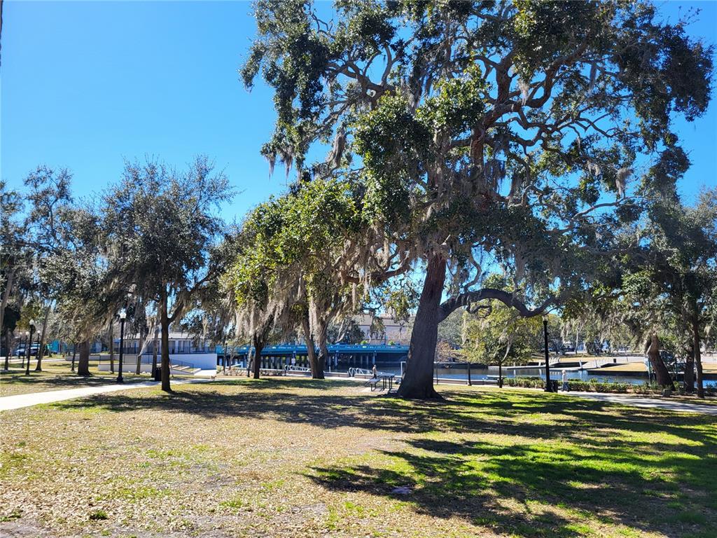 7216 Whist Way New Port Richey, FL 34655 - Photo 25 of 27