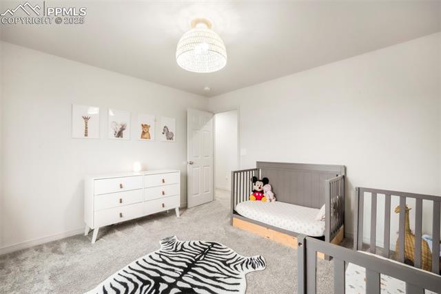 2204 Reed Grass Way Colorado Springs, CO 80915 - Photo 22 of 50 Gallery Image 22