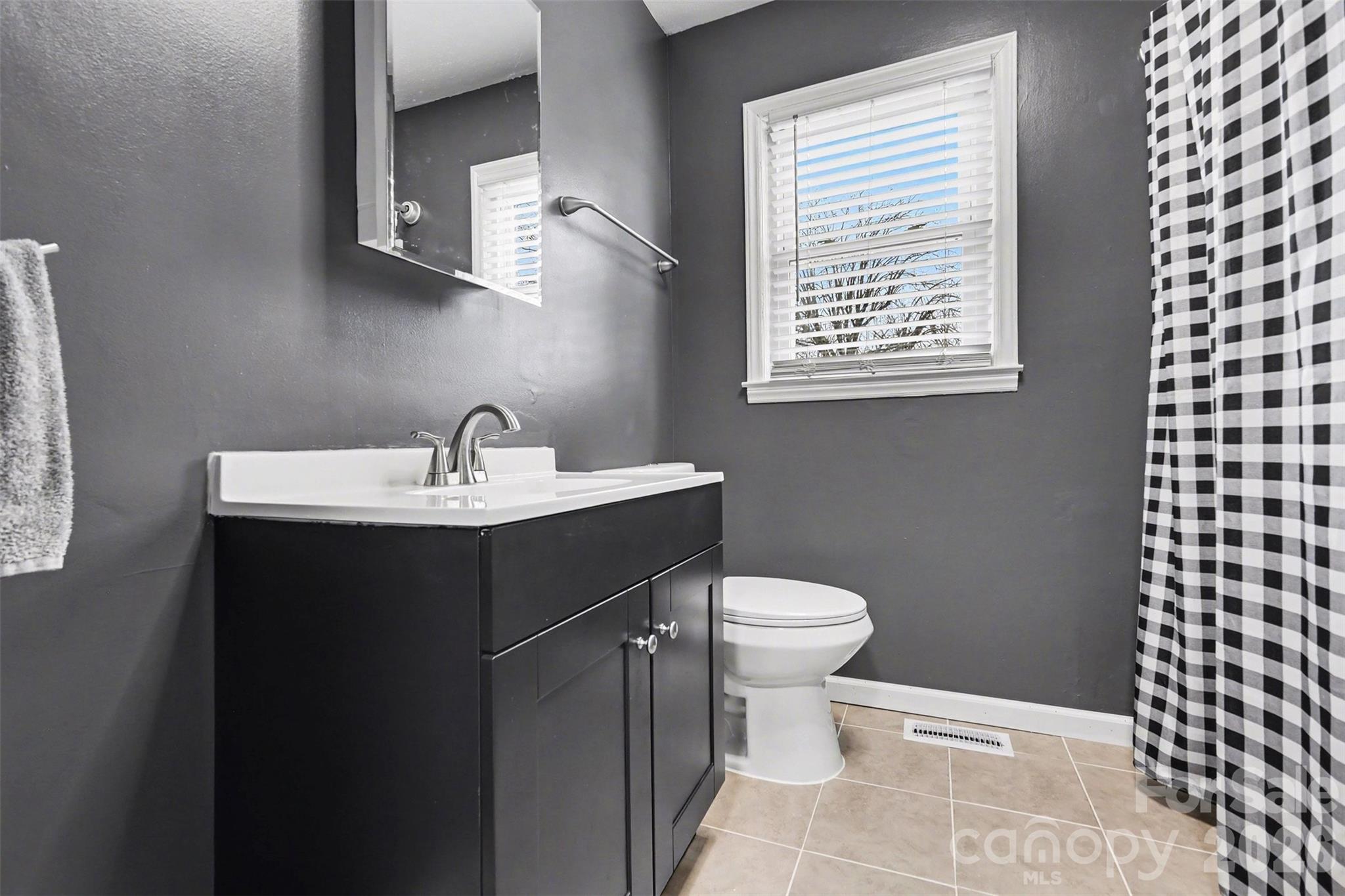 1008 Edgewood Road Bessemer City, NC 28016 - Photo 11 of 26 a bathroom with a sink toilet and a mirror