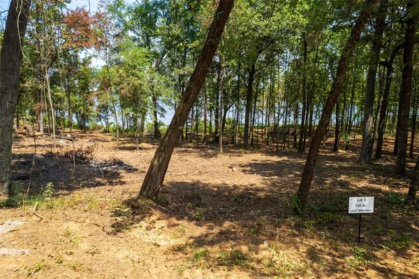 a view of outdoor space with trees
