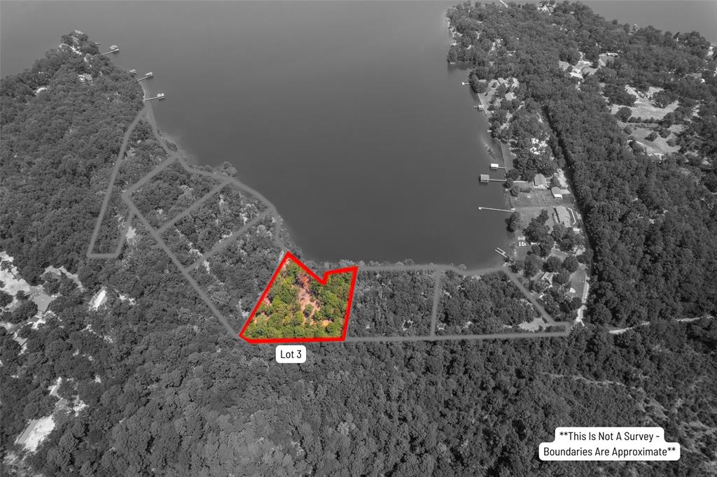 Tbd Tbd Pr52447 Leesburg, TX 75451 - Photo 3 of 10 a picture of a tree in a room