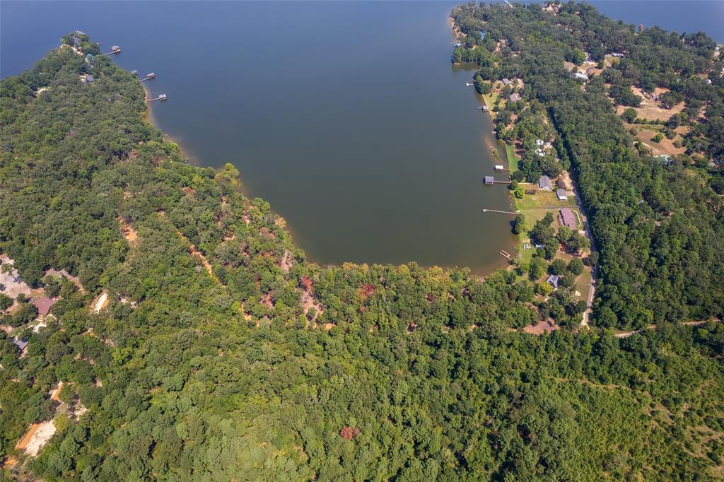 Tbd Tbd Pr52447 Leesburg, TX 75451 - Photo 6 of 10 a close up of a plant in a garden