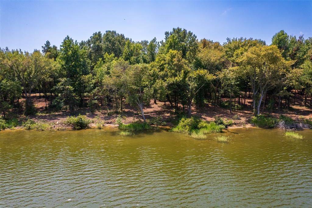 Tbd Tbd Pr52447 Leesburg, TX 75451 - Photo 10 of 10 a view of an ocean
