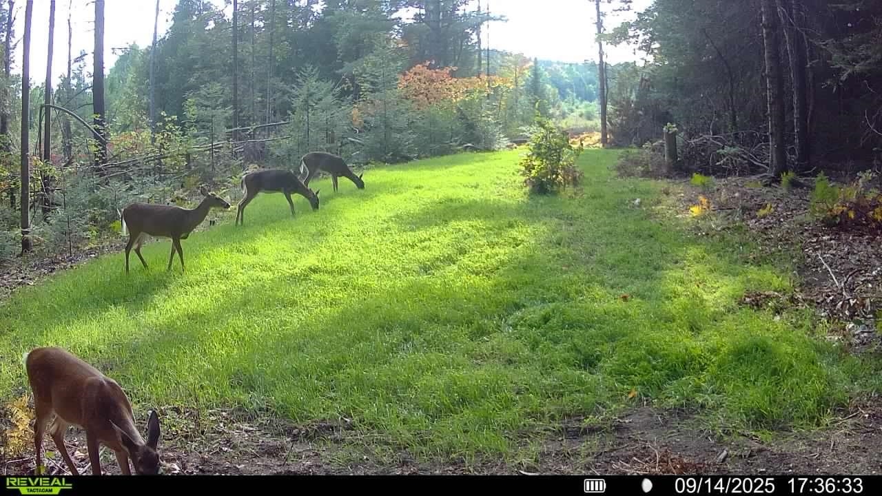 Vl South 27 Road Cadillac, MI 49601 - Photo 10 of 45
