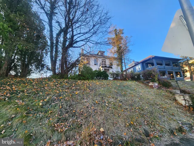 a tall tree in middle of forest