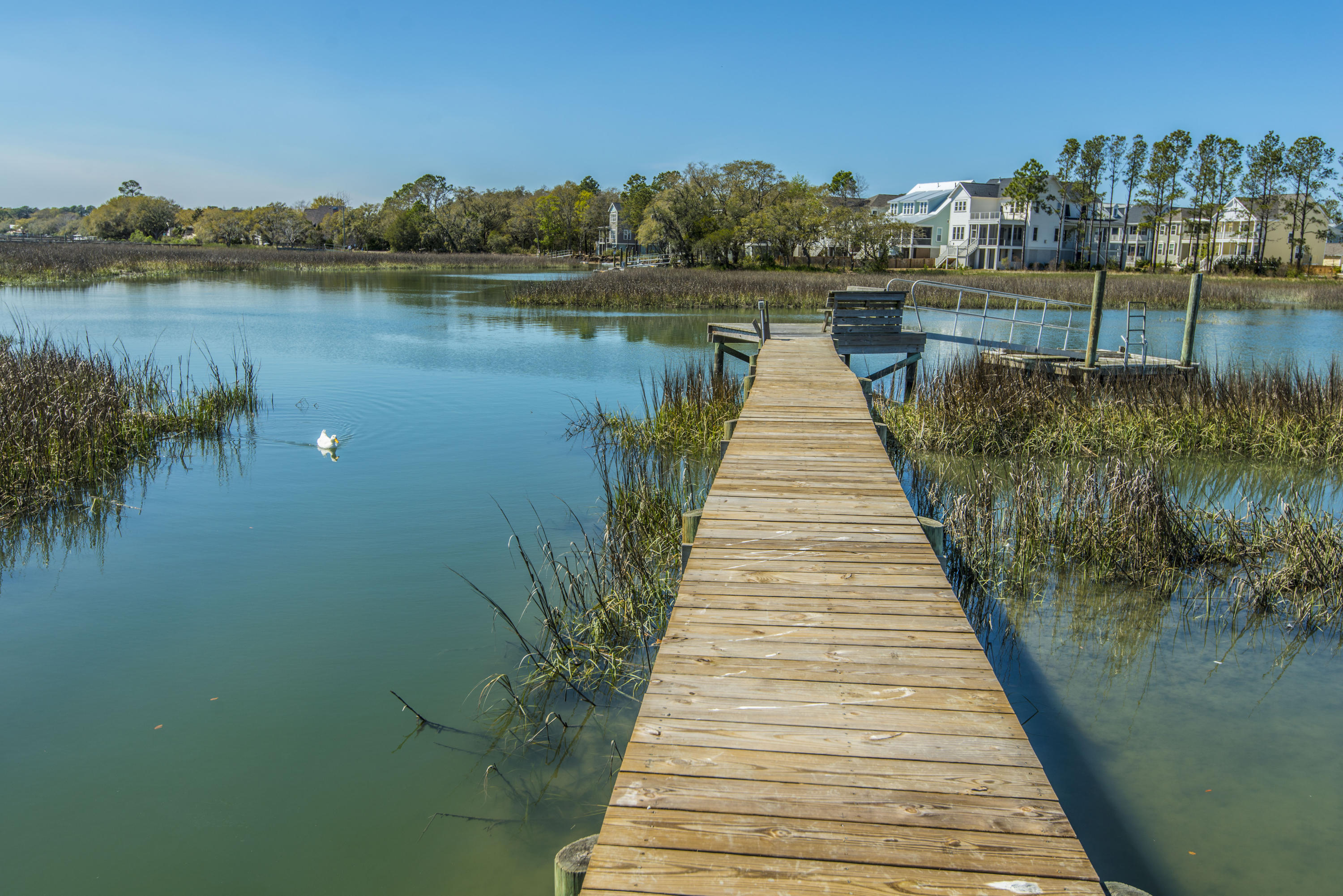 1200 Fort Lamar Road Charleston, SC 29412 - Photo 5 of 56 Dock