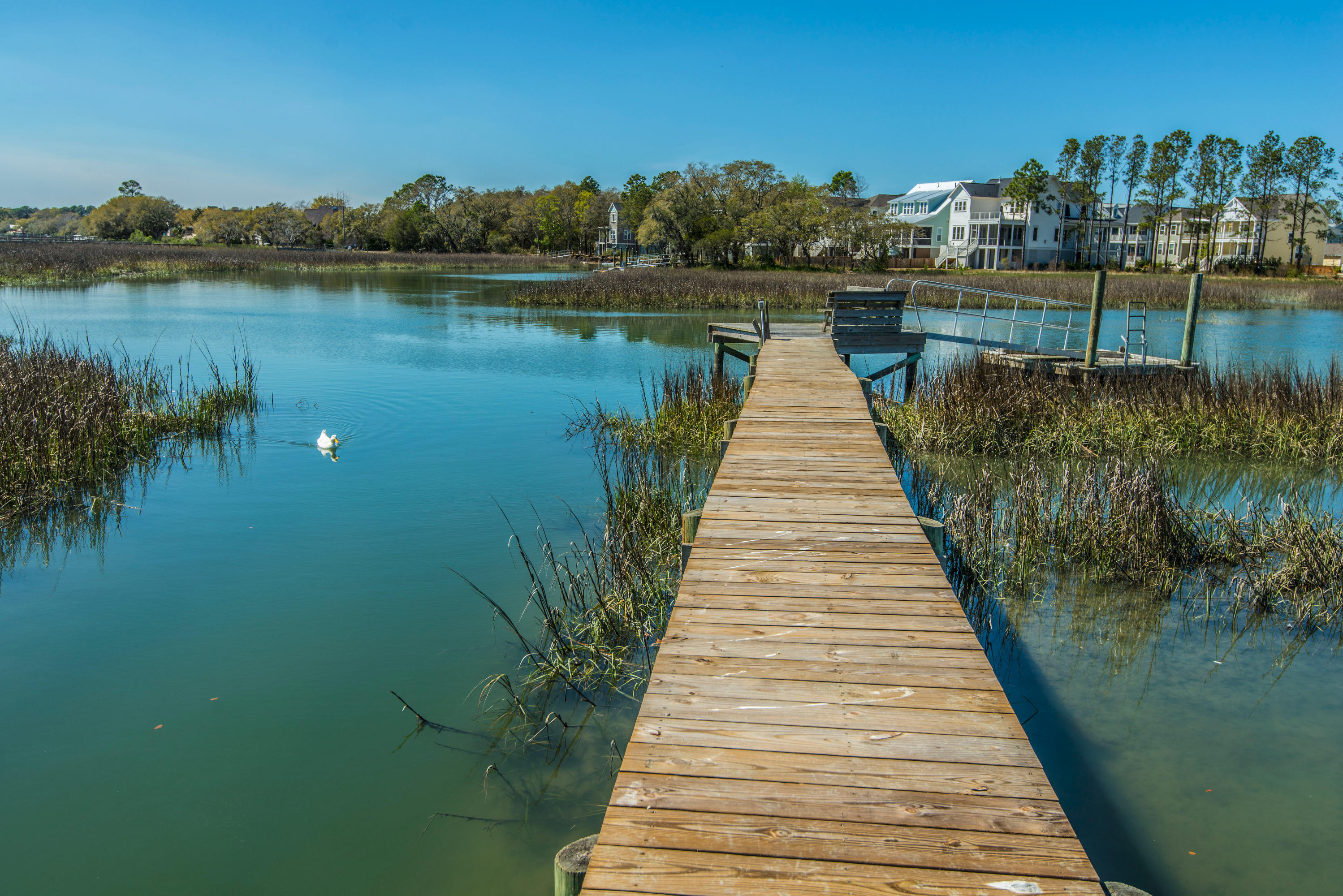 1200 Fort Lamar Road Charleston, SC 29412 - Photo 49 of 56 Dock