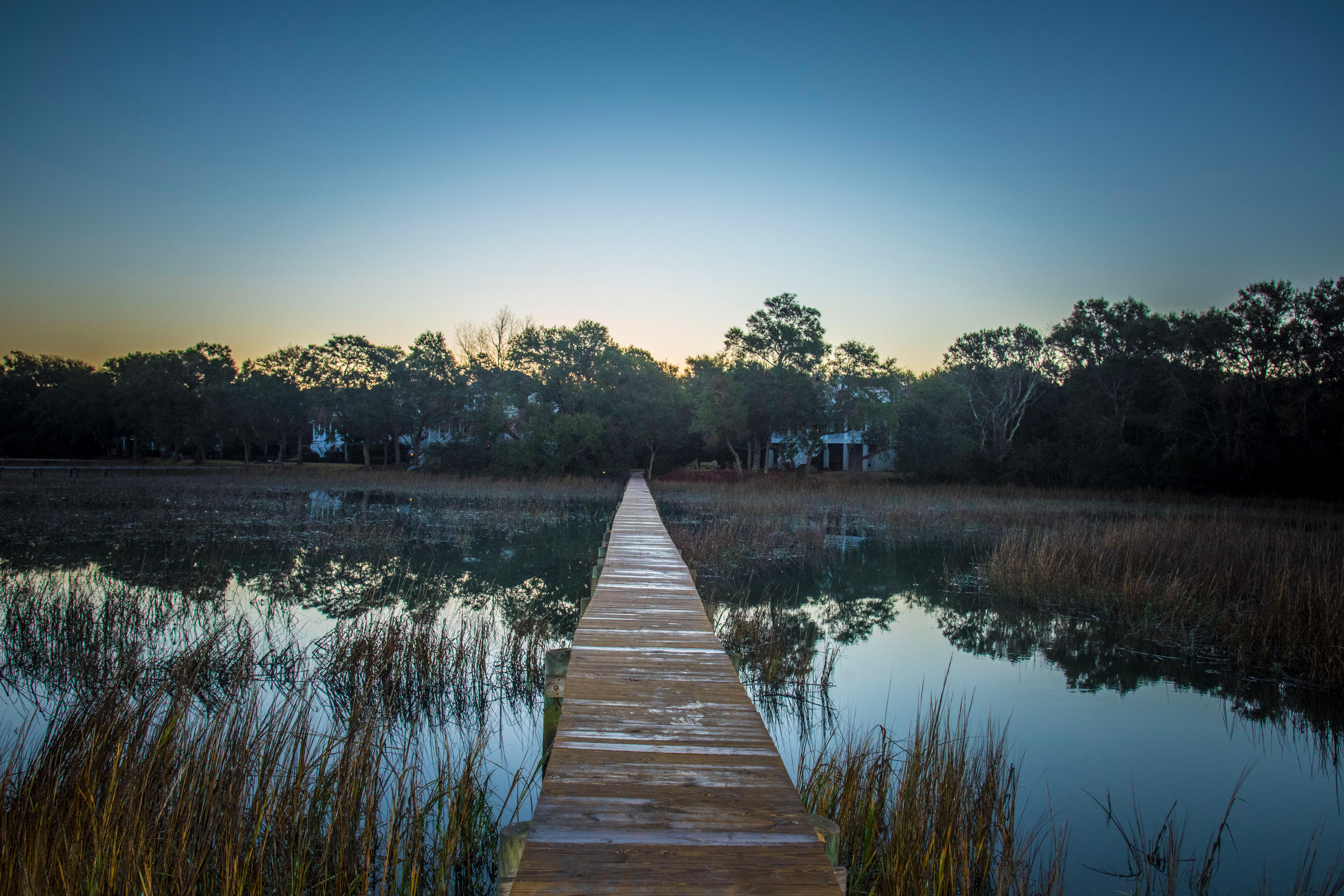1200 Fort Lamar Road Charleston, SC 29412 - Photo 53 of 56 Sunset