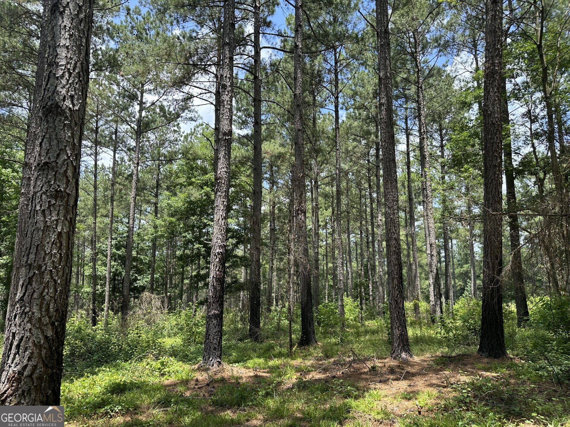 360 Happy Hollow Road Comer, GA 30629 - Photo 10 of 31