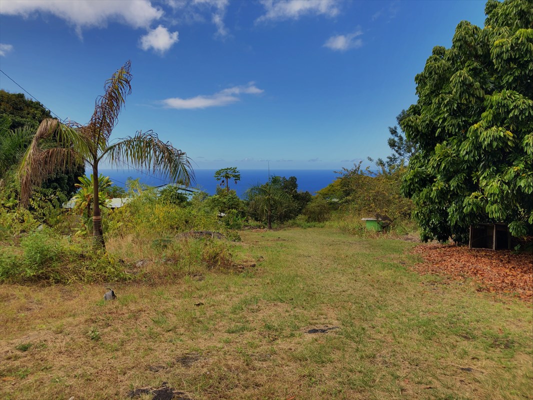 86 Hawaii Belt Road Captain Cook, HI 96704 - Photo 1 of 15 Gallery Image 1