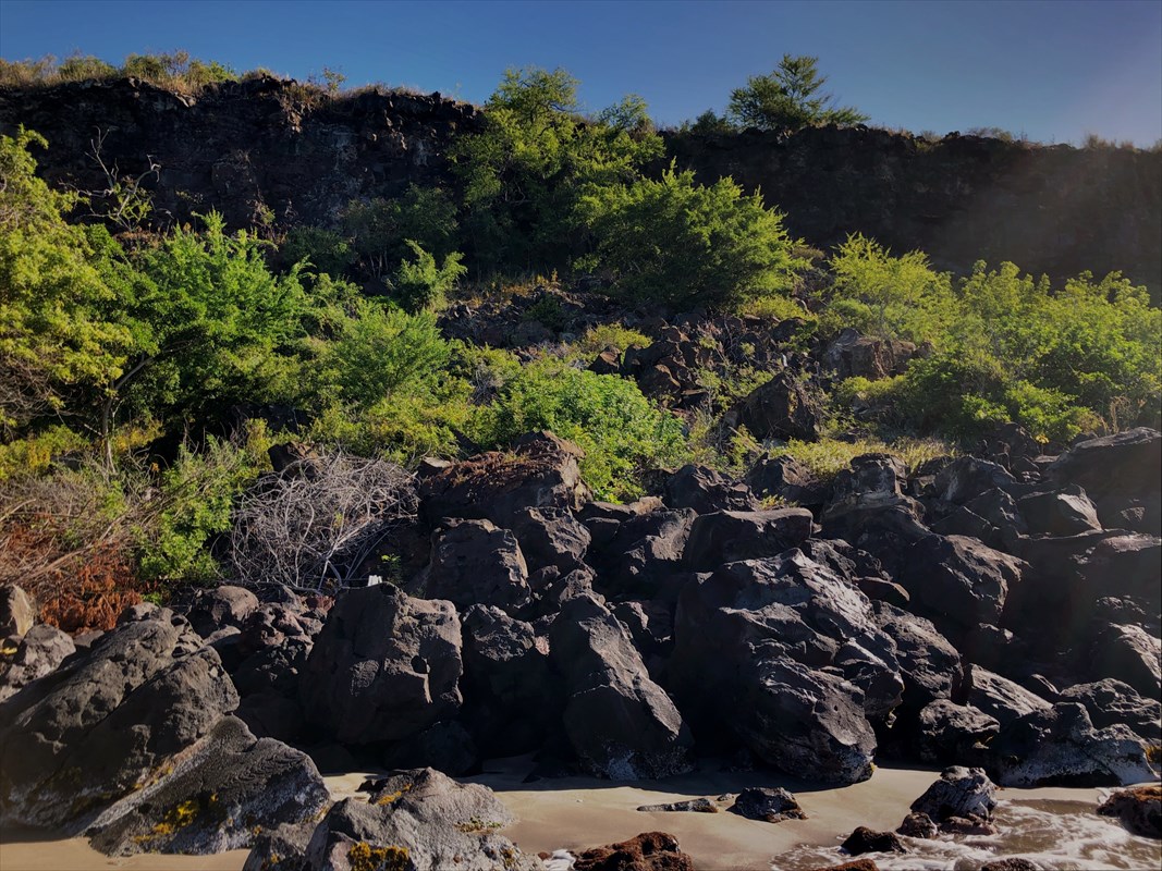 86 Hawaii Belt Road Captain Cook, HI 96704 - Photo 14 of 15 Gallery Image 14