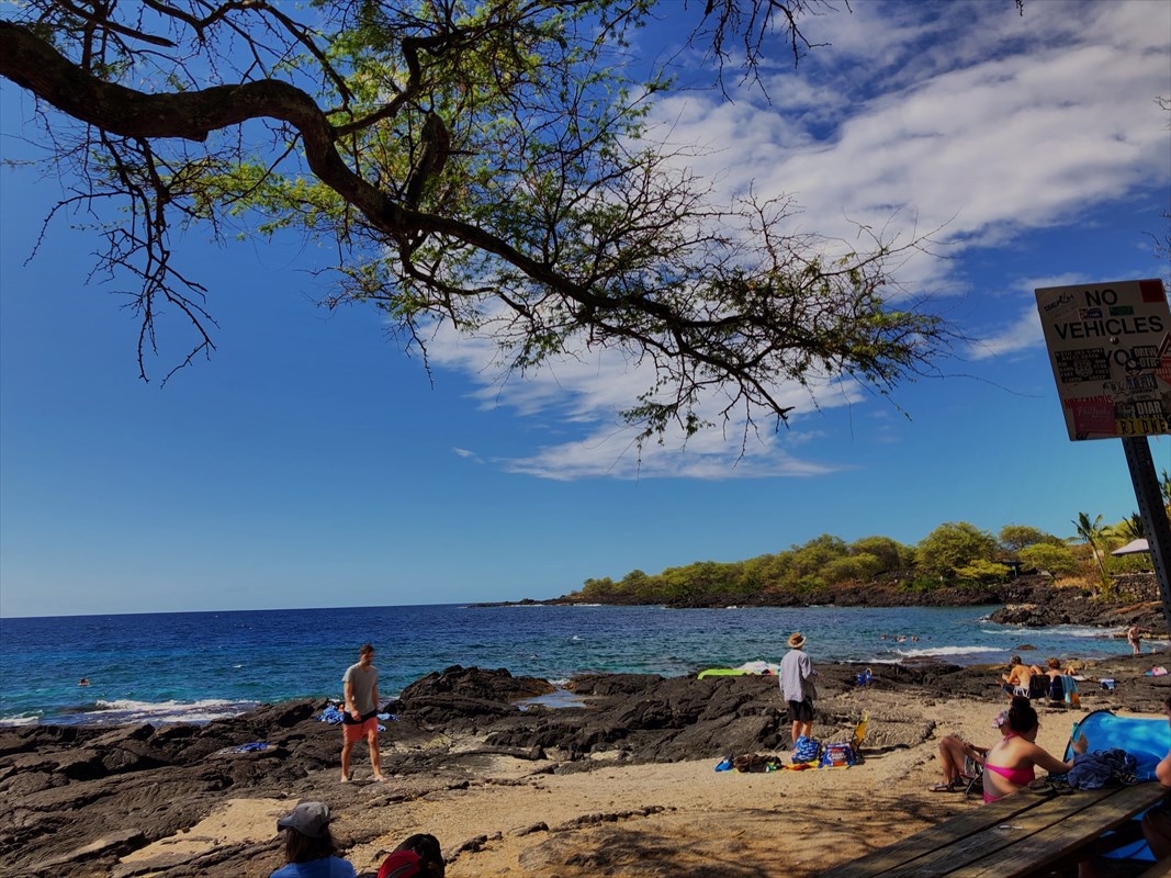 86 Hawaii Belt Road Captain Cook, HI 96704 - Photo 15 of 15 Gallery Image 15