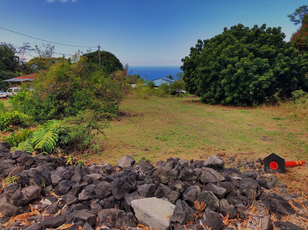86 Hawaii Belt Road Captain Cook, HI 96704 - Photo 4 of 15 Gallery Image 4