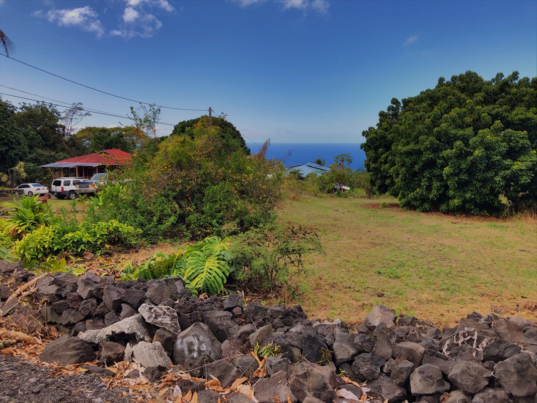 86 Hawaii Belt Road Captain Cook, HI 96704 - Photo 5 of 15 Gallery Image 5