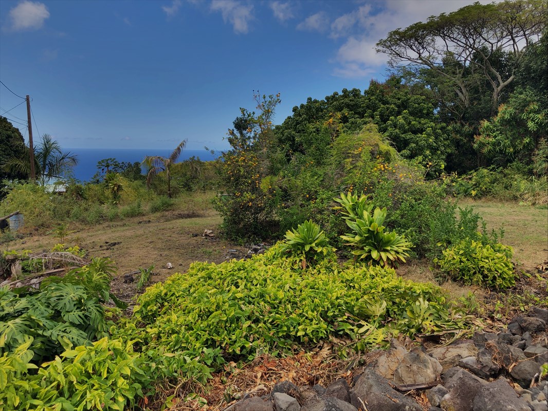 86 Hawaii Belt Road Captain Cook, HI 96704 - Photo 6 of 15 Gallery Image 6