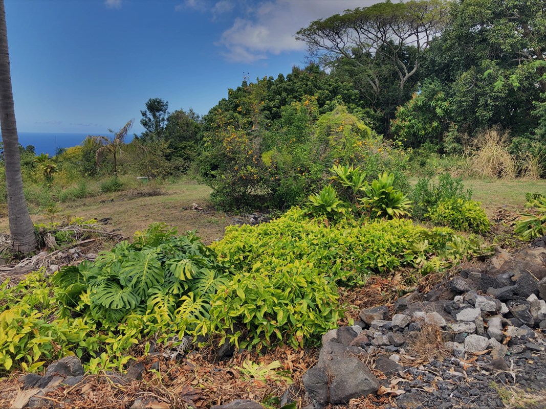86 Hawaii Belt Road Captain Cook, HI 96704 - Photo 7 of 15 Gallery Image 7