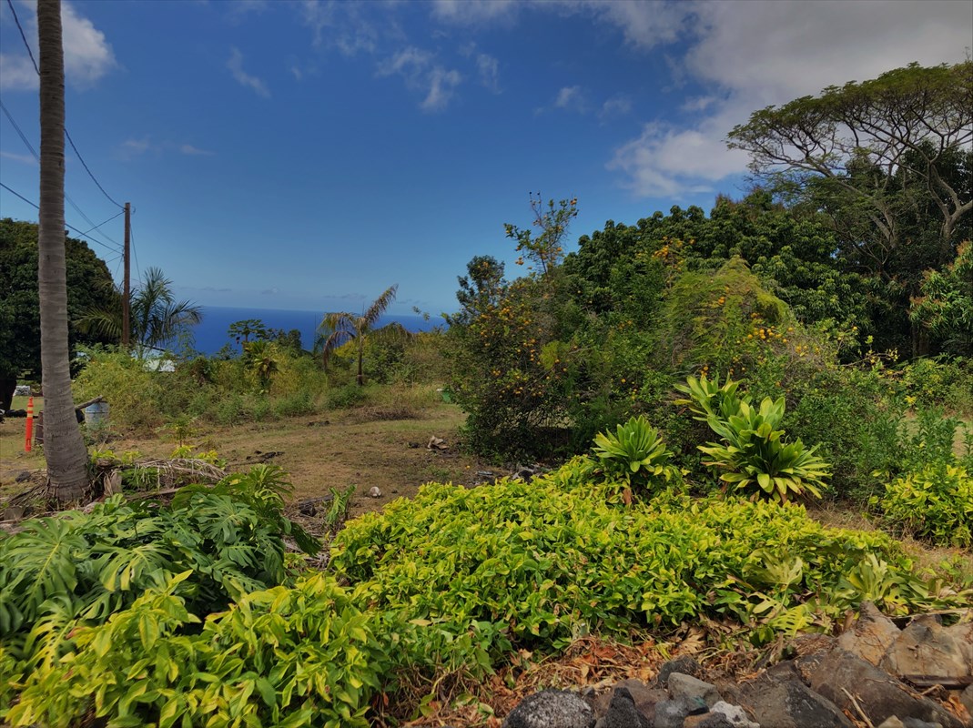86 Hawaii Belt Road Captain Cook, HI 96704 - Photo 8 of 15 Gallery Image 8