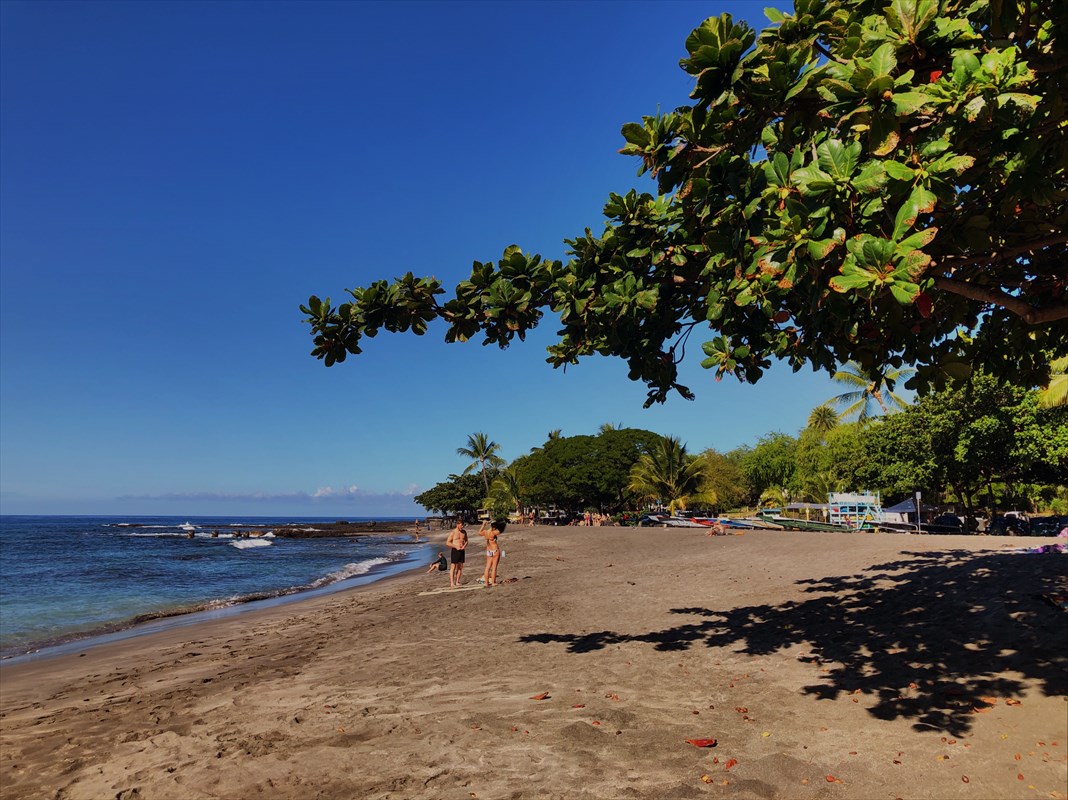 86 Hawaii Belt Road Captain Cook, HI 96704 - Photo 10 of 15 Gallery Image 10