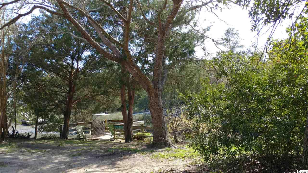 362 Lagoon Circle Murrells Inlet, SC 29576 - Photo 29 of 38
