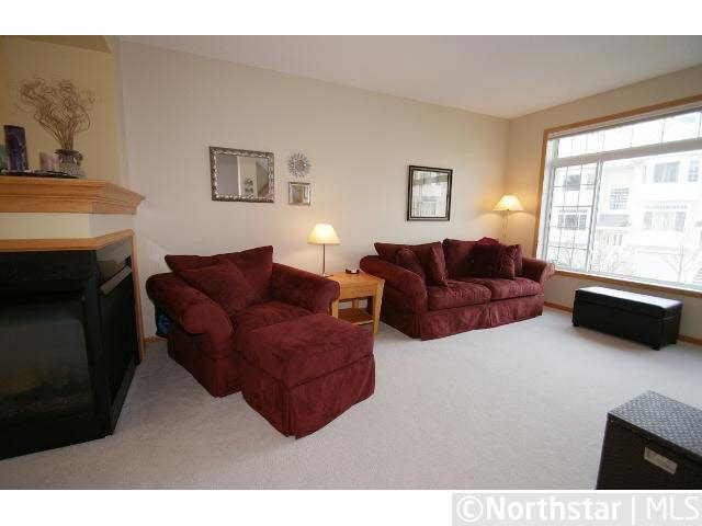 8892 Brunswick Path Inver Grove Heights, MN 55076 - Photo 8 of 16 Gallery Image 8