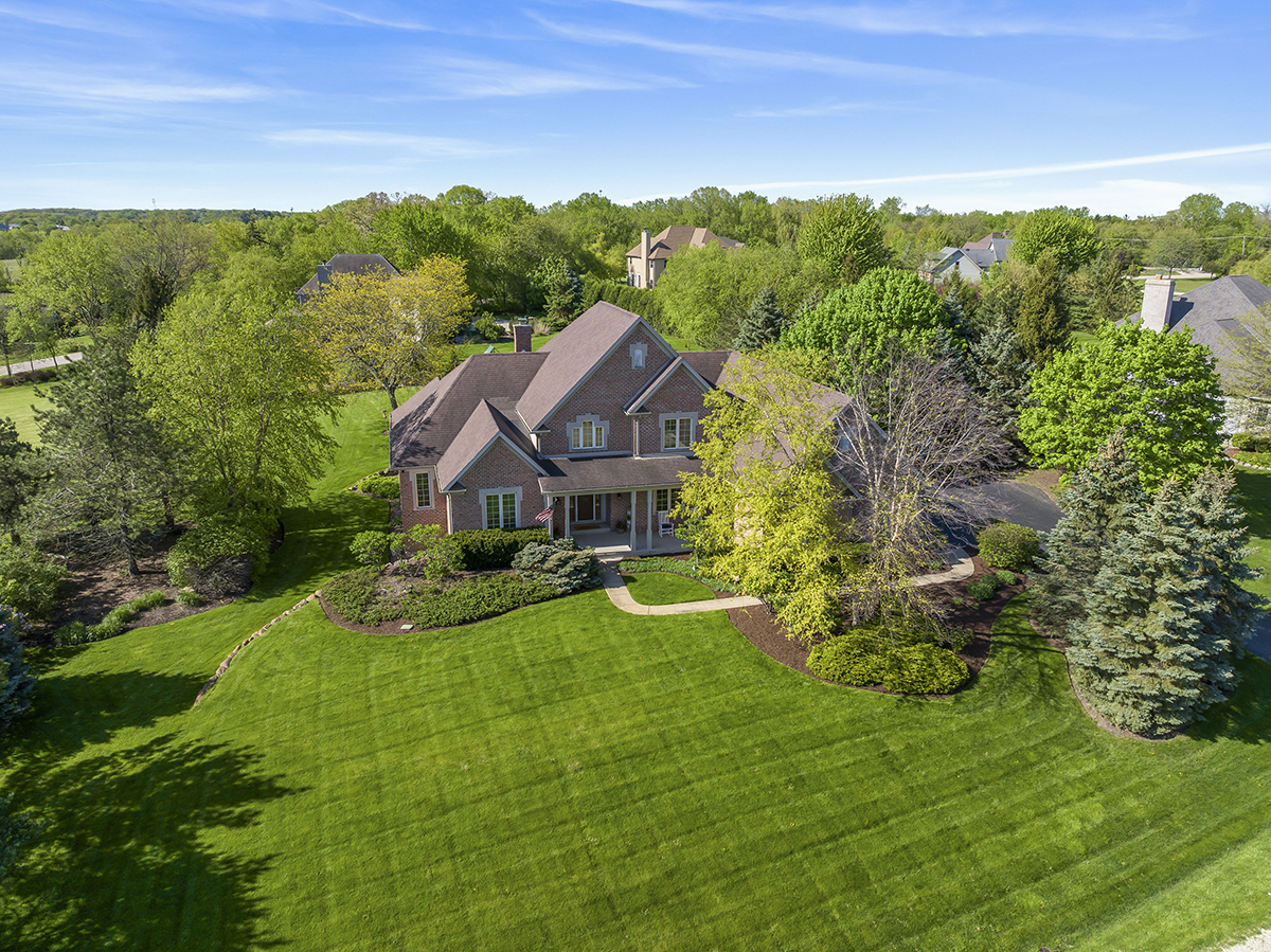a view of a garden with a tree