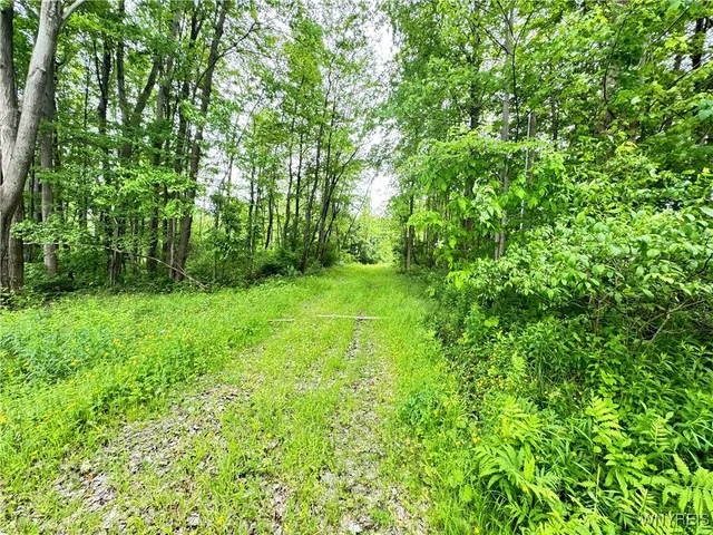 $45,000 | 4371 Lawson Road, Busti, NY 14701