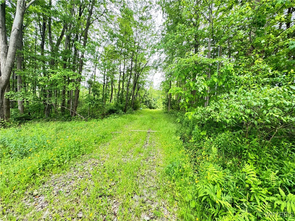 4371 Lawson Road Busti, NY 14701 - Photo 2 of 8