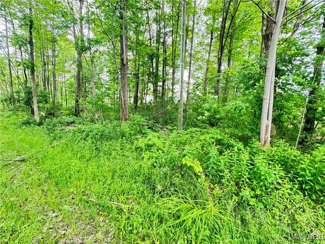 $45,000 | 4371 Lawson Road, Busti, NY 14701