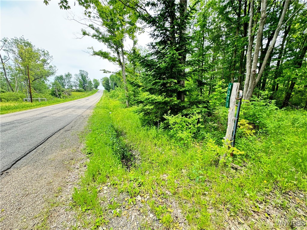 4371 Lawson Road Busti, NY 14701 - Photo 4 of 8