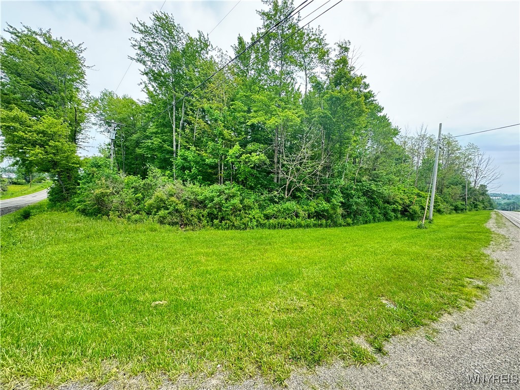 4371 Lawson Road Busti, NY 14701 - Photo 6 of 8