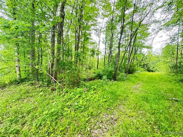 $45,000 | 4371 Lawson Road, Busti, NY 14701