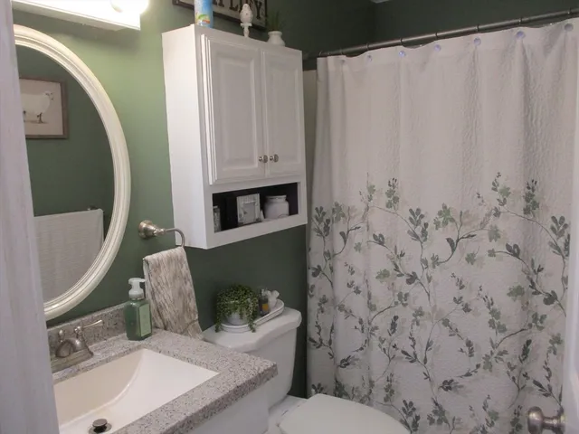 a bathroom with a sink a toilet and shower curtain