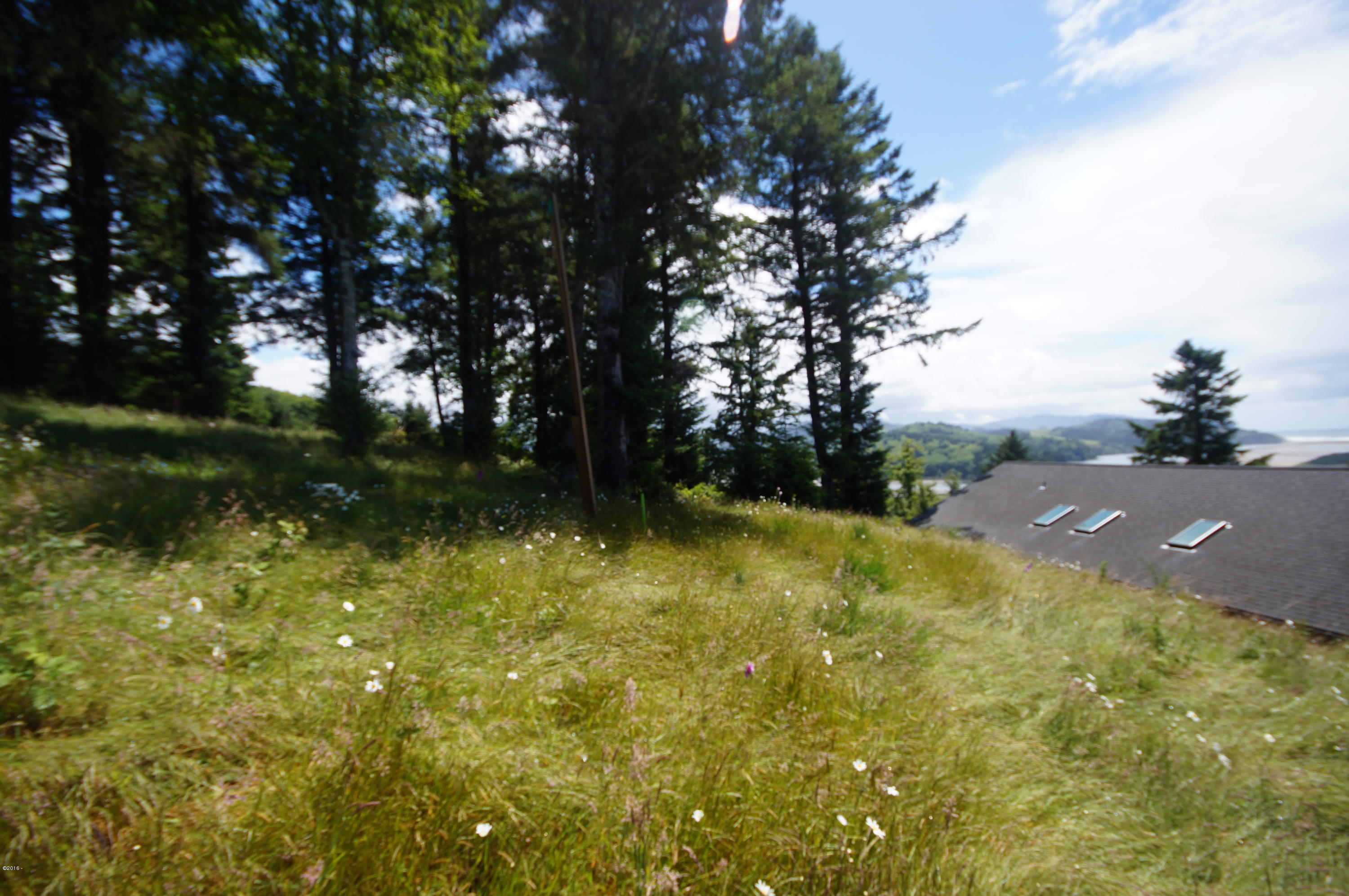 Lot 2 Brooten Mountain Road Pacific City, OR 97135 - Photo 8 of 11 South Side of Lot