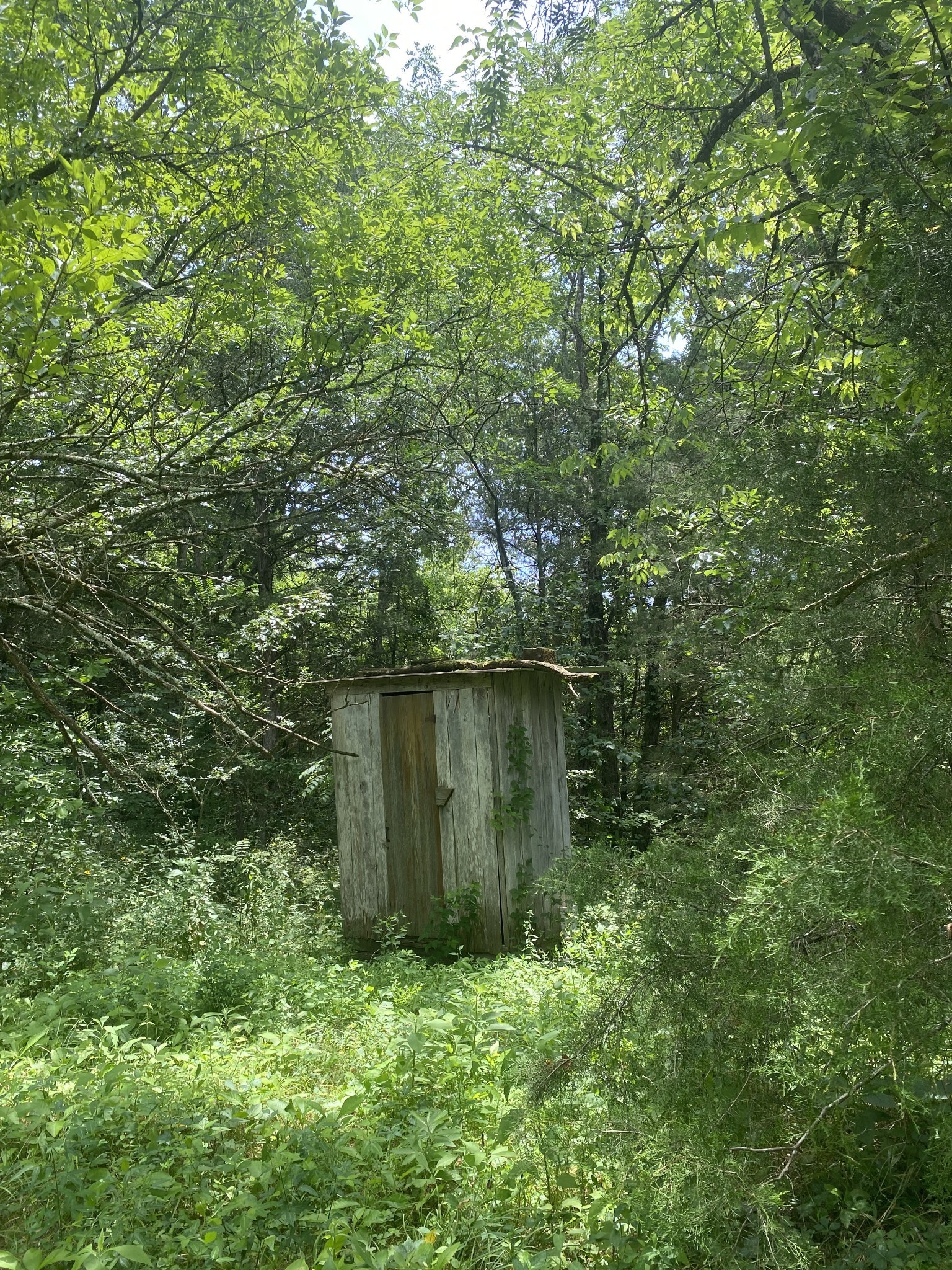 0 Smith Fork Road Liberty, TN 37095 - Photo 15 of 16 a backyard of a house with lots of green space and lake view