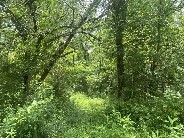 $671,000 | 0 Smith Fork Road, Liberty, TN 37095