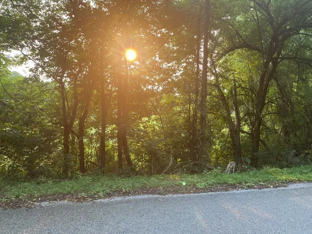 a view of a street with a trees