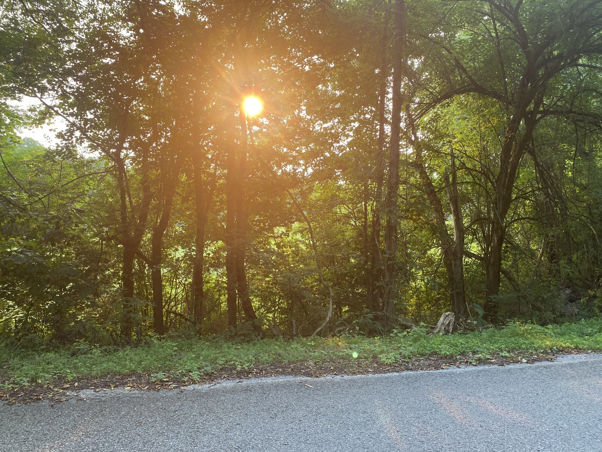 0 Smith Fork Road Liberty, TN 37095 - Photo 2 of 16 a view of a street with a trees
