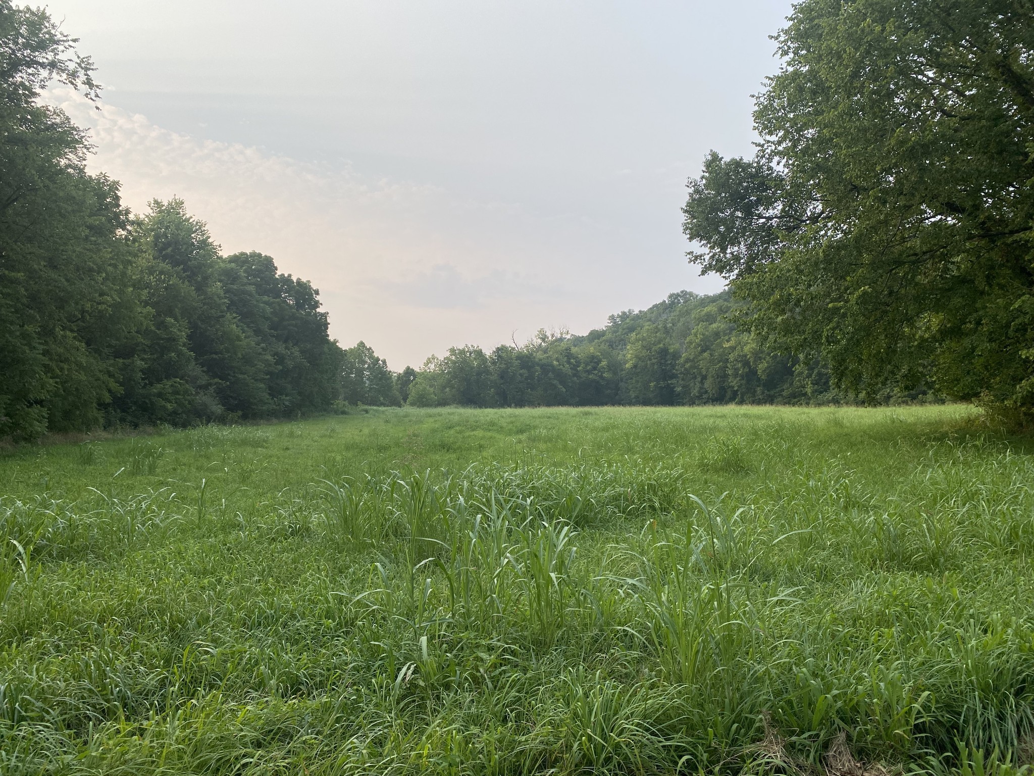 0 Smith Fork Road Liberty, TN 37095 - Photo 6 of 16 a view of a green field with wooden fence