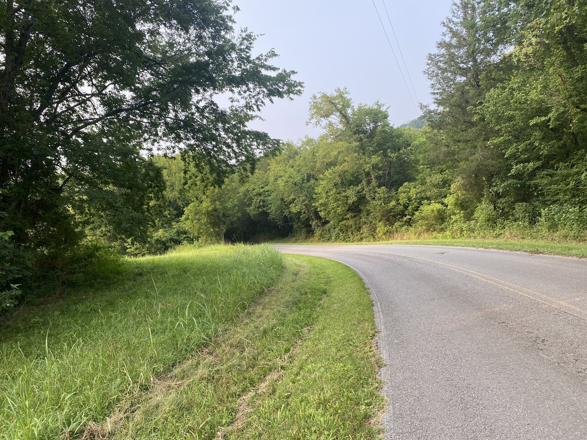 0 Smith Fork Road Liberty, TN 37095 - Photo 7 of 16 a view of a yard with a tree