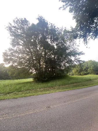 a view of a grassy field with trees